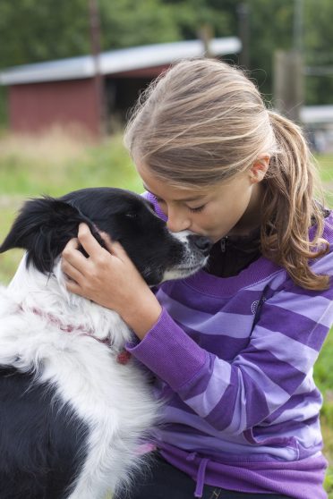 a girl showing affection to her Border Collie dog