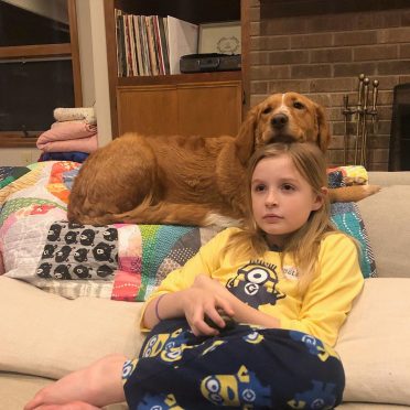 a Golden Border Retriever and a girl watching TV on the couch