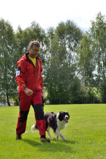 Black and white Border Collie walking with its trainer without a lead in obedience training school