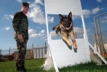 German Shepherd training with its soldier partner/owner