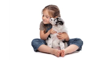 Little girl hugging a blue merle Border Collie puppy