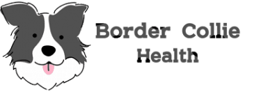Border Collie Health Logo