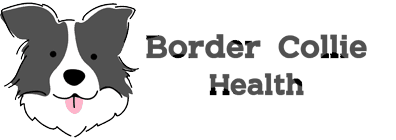 BorderCollieHealth