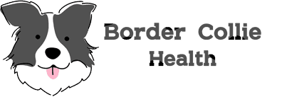 BorderCollieHealth